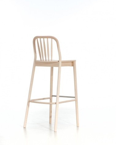 HR-PM-H-1070 ALDO hoker
